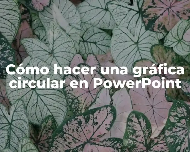 Cómo hacer una gráfica circular en PowerPoint