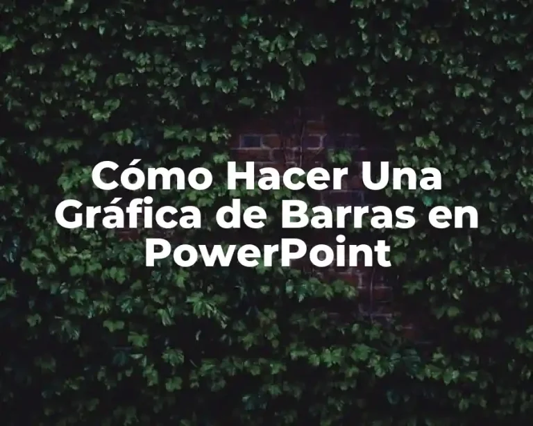 Cómo Hacer Una Gráfica de Barras en PowerPoint