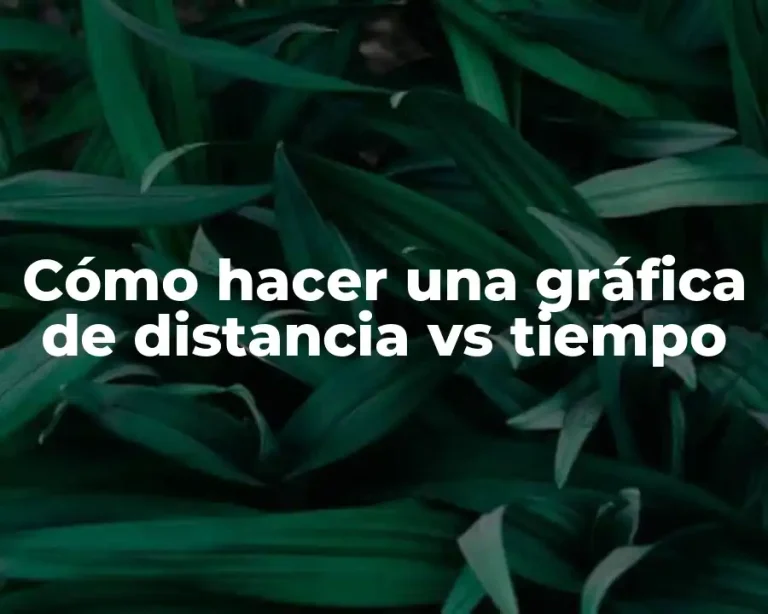 Cómo hacer una gráfica de distancia vs tiempo