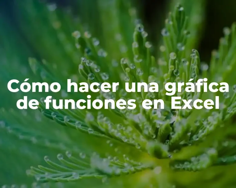 Cómo hacer una gráfica de funciones en Excel