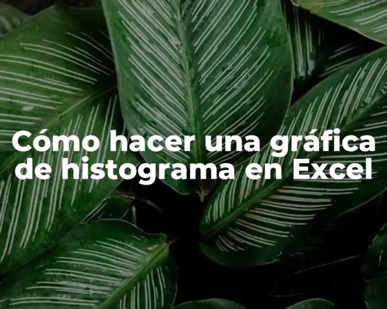 Cómo hacer una gráfica de histograma en Excel