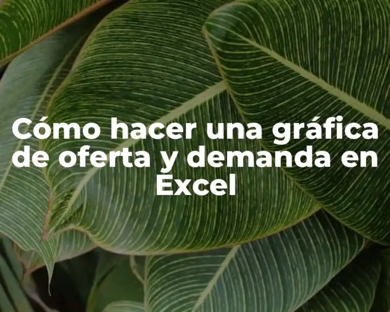 Cómo hacer una gráfica de oferta y demanda en Excel