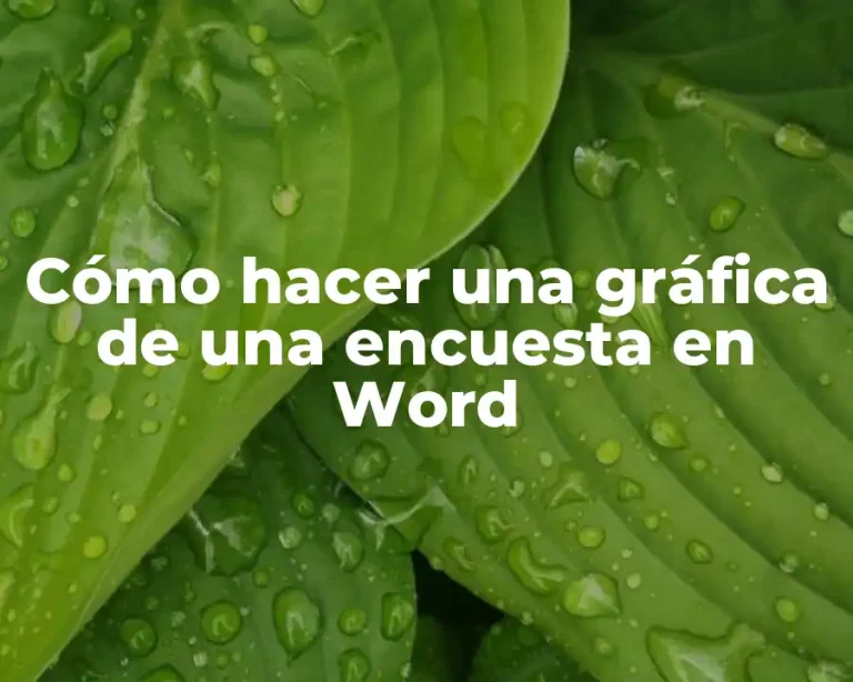 Cómo hacer una gráfica de una encuesta en Word