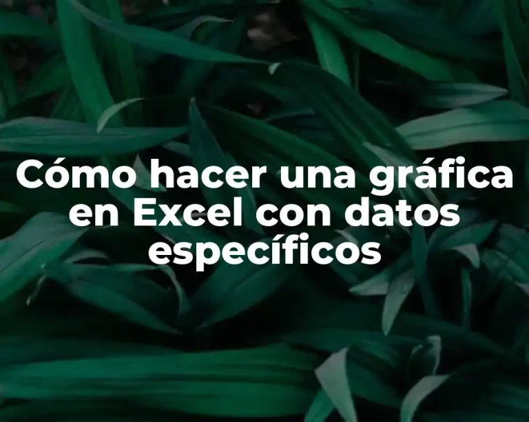 Cómo hacer una gráfica en Excel con datos específicos