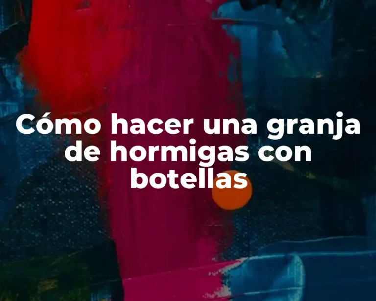 Cómo hacer una granja de hormigas con botellas