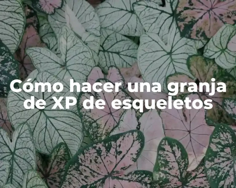 Cómo hacer una granja de XP de esqueletos