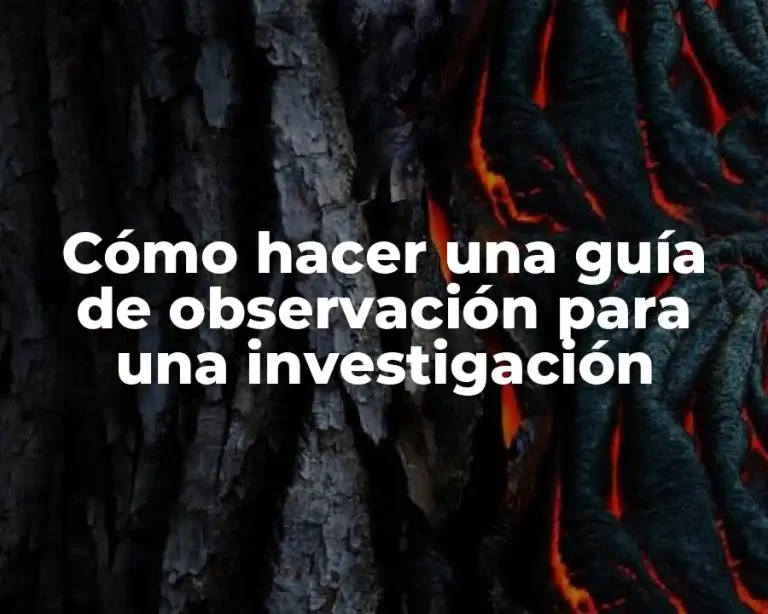 Cómo hacer una guía de observación para una investigación