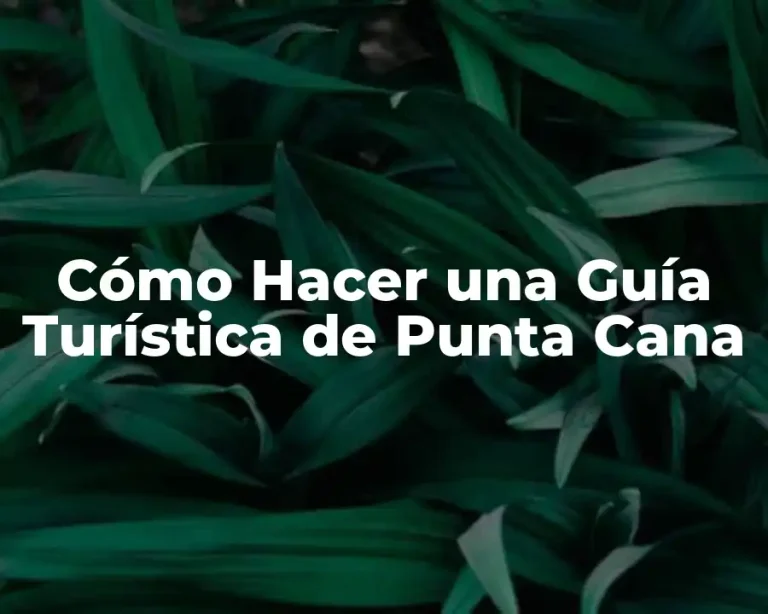 Cómo Hacer una Guía Turística de Punta Cana