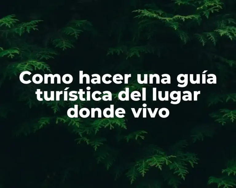 Como hacer una guía turística del lugar donde vivo