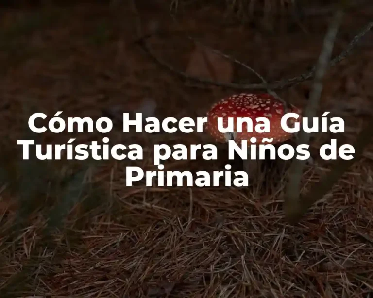 Cómo Hacer una Guía Turística para Niños de Primaria