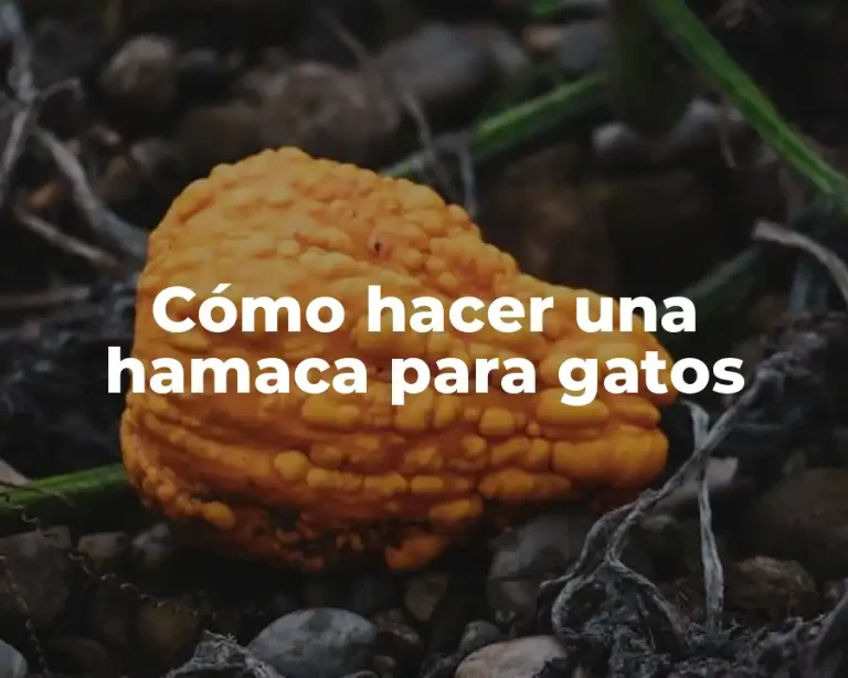 Cómo hacer una hamaca para gatos