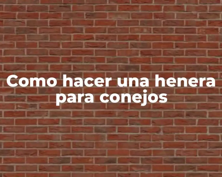 Como hacer una henera para conejos