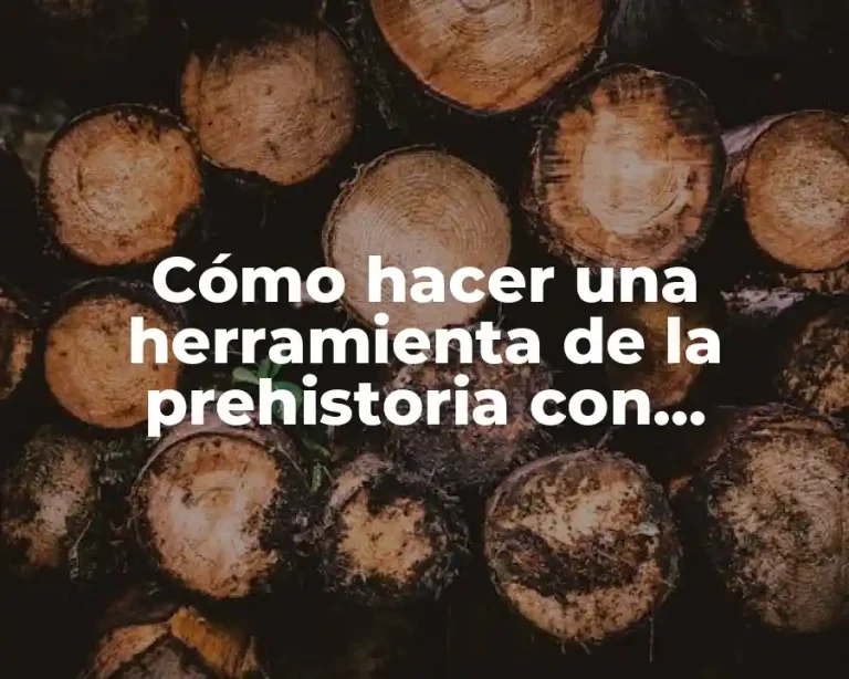 Cómo hacer una herramienta de la prehistoria con plastilina