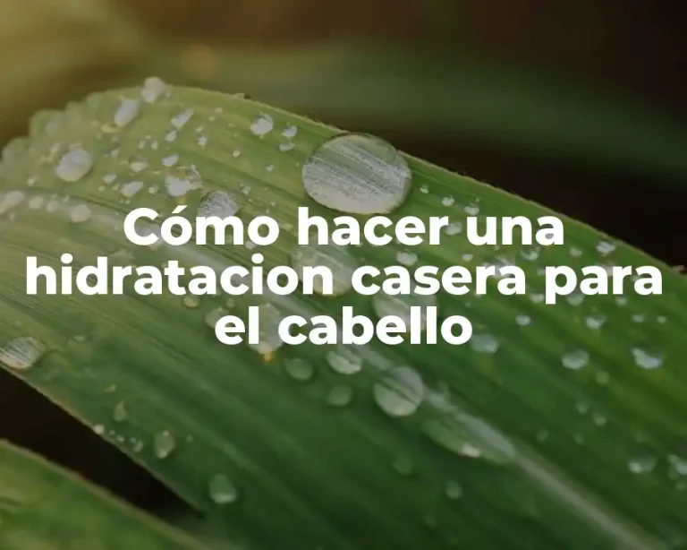 Cómo hacer una hidratacion casera para el cabello