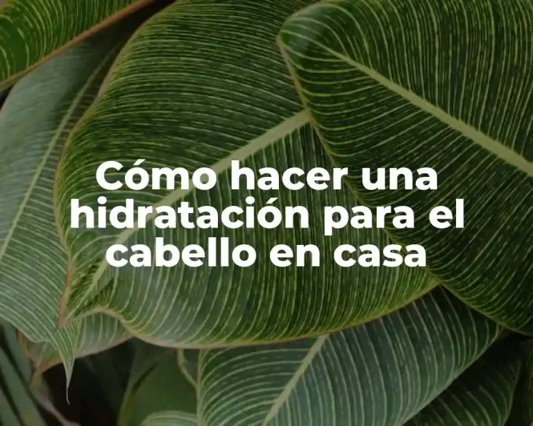 Cómo hacer una hidratación para el cabello en casa