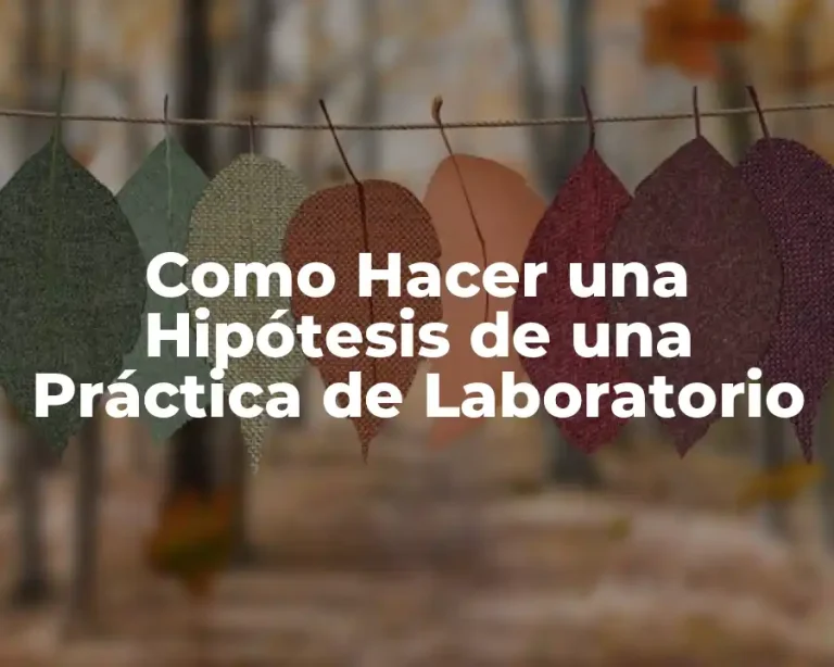 Como Hacer una Hipótesis de una Práctica de Laboratorio