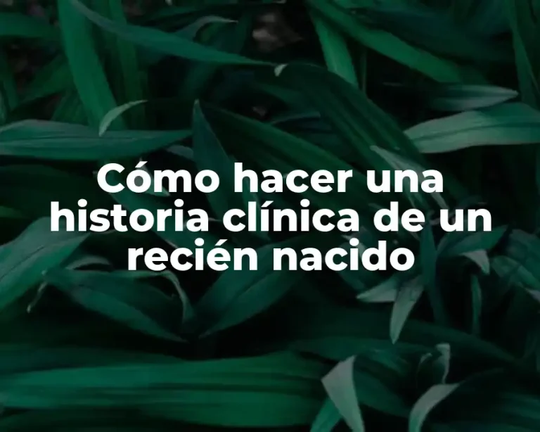 Cómo hacer una historia clínica de un recién nacido
