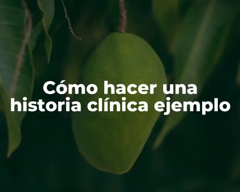 Cómo hacer una historia clínica ejemplo