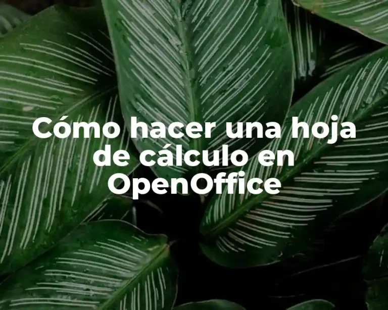 Cómo hacer una hoja de cálculo en OpenOffice