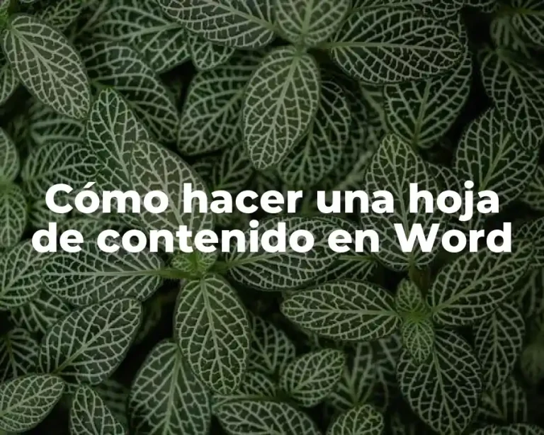 Cómo hacer una hoja de contenido en Word