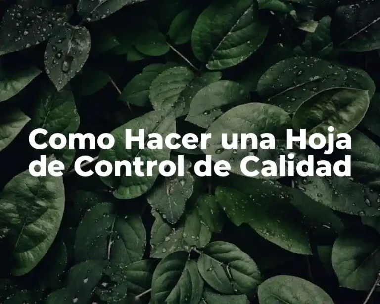 Como Hacer una Hoja de Control de Calidad