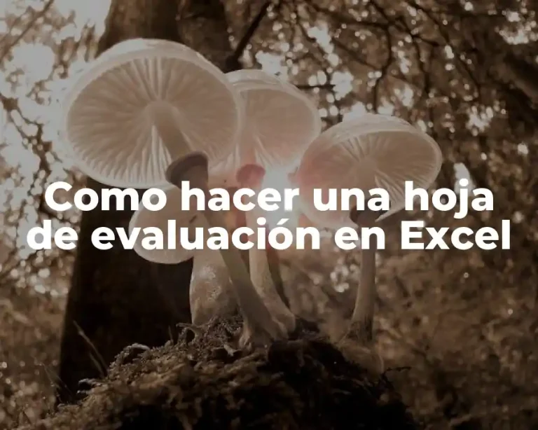 Como hacer una hoja de evaluación en Excel