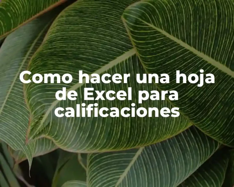 Como hacer una hoja de Excel para calificaciones