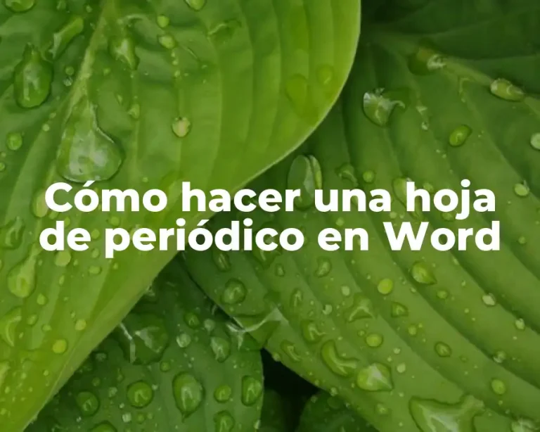 Cómo hacer una hoja de periódico en Word