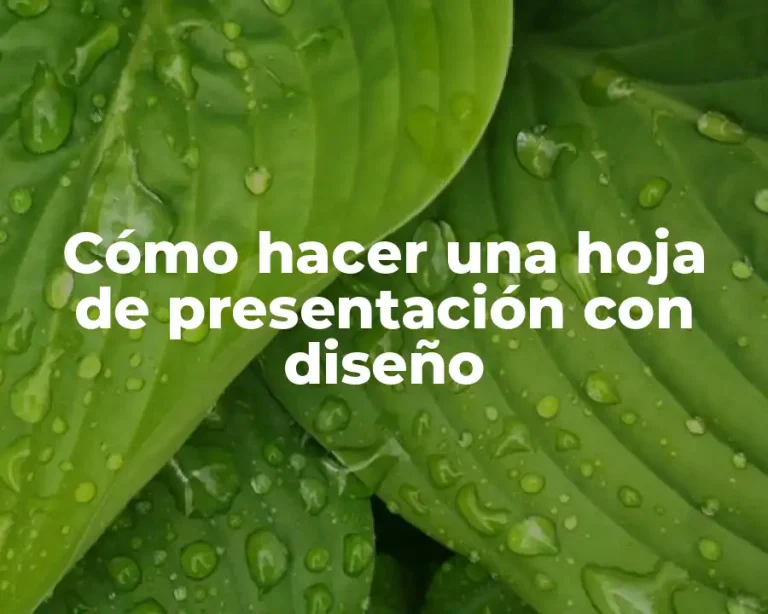 Cómo hacer una hoja de presentación con diseño