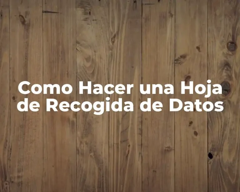 Como Hacer una Hoja de Recogida de Datos