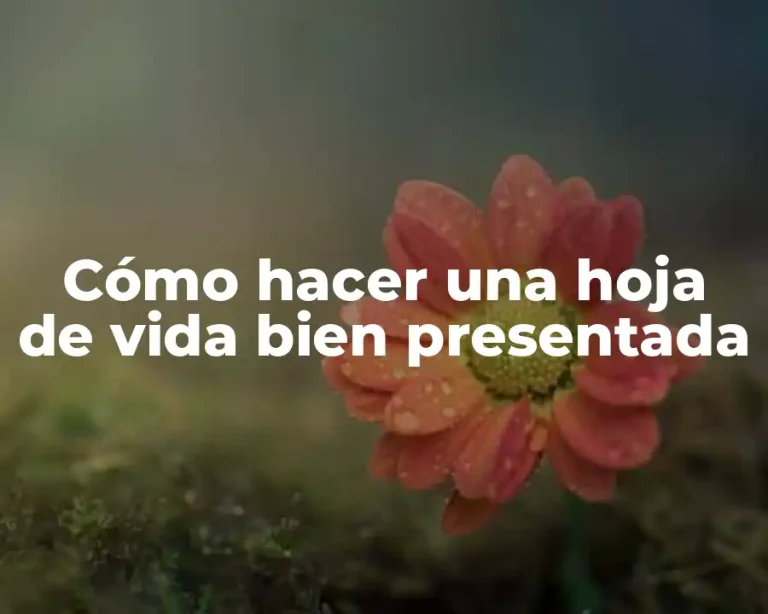 Cómo hacer una hoja de vida bien presentada