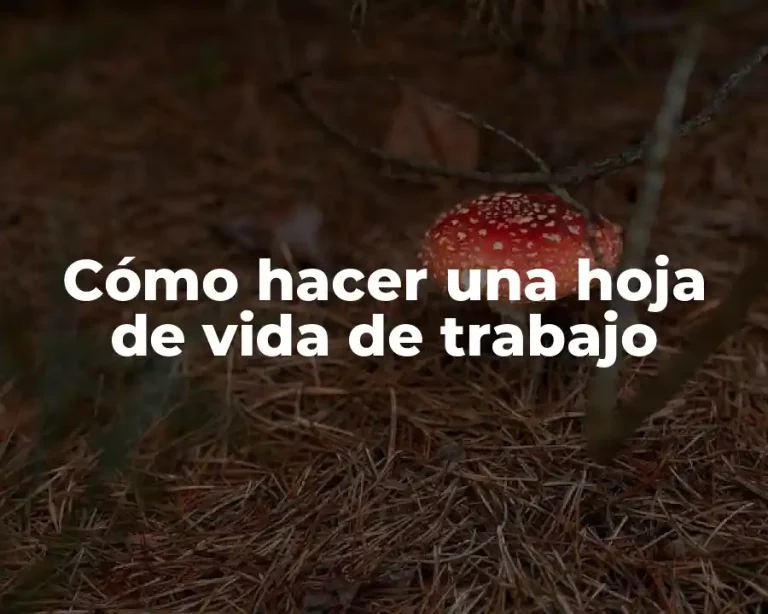 Cómo hacer una hoja de vida de trabajo