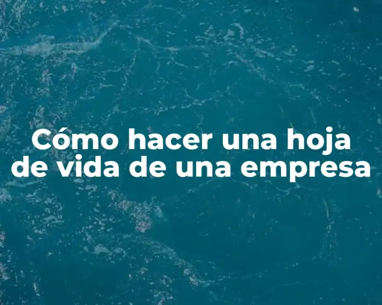 Cómo hacer una hoja de vida de una empresa