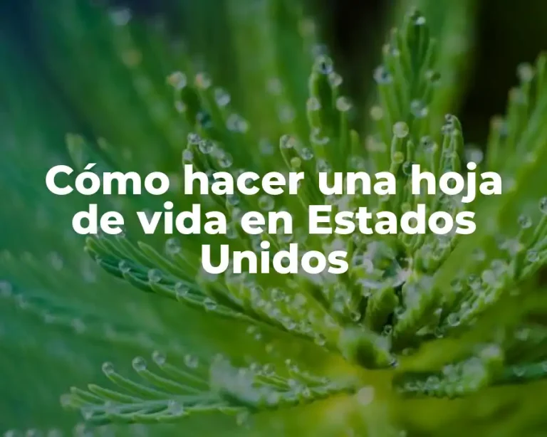 Cómo hacer una hoja de vida en Estados Unidos