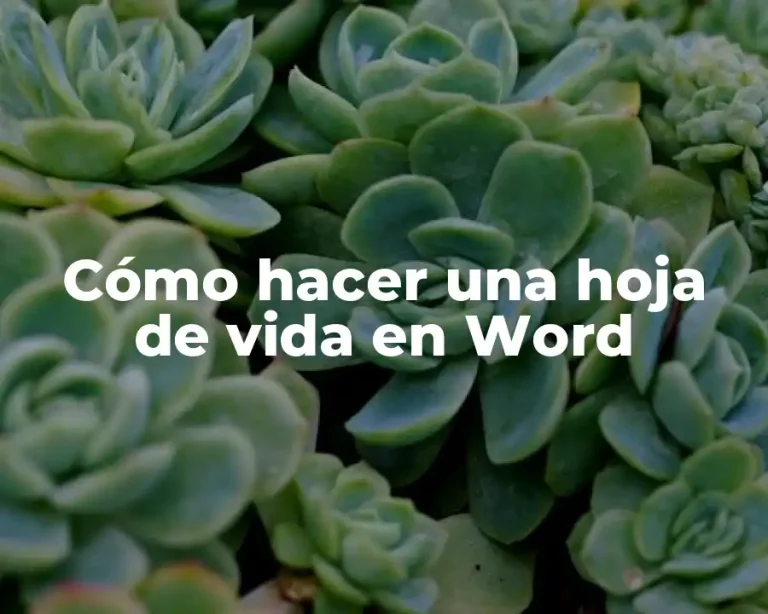 Cómo hacer una hoja de vida en Word
