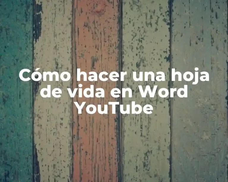 Cómo hacer una hoja de vida en Word YouTube