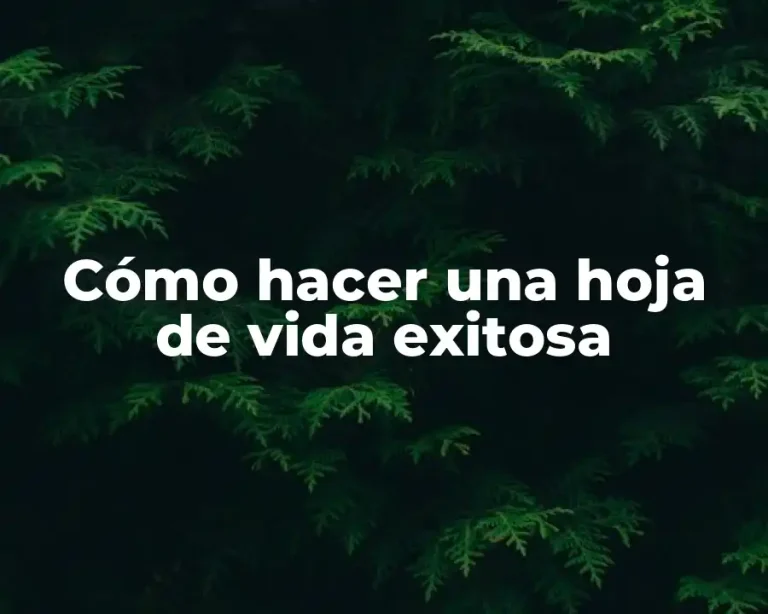 Cómo hacer una hoja de vida exitosa