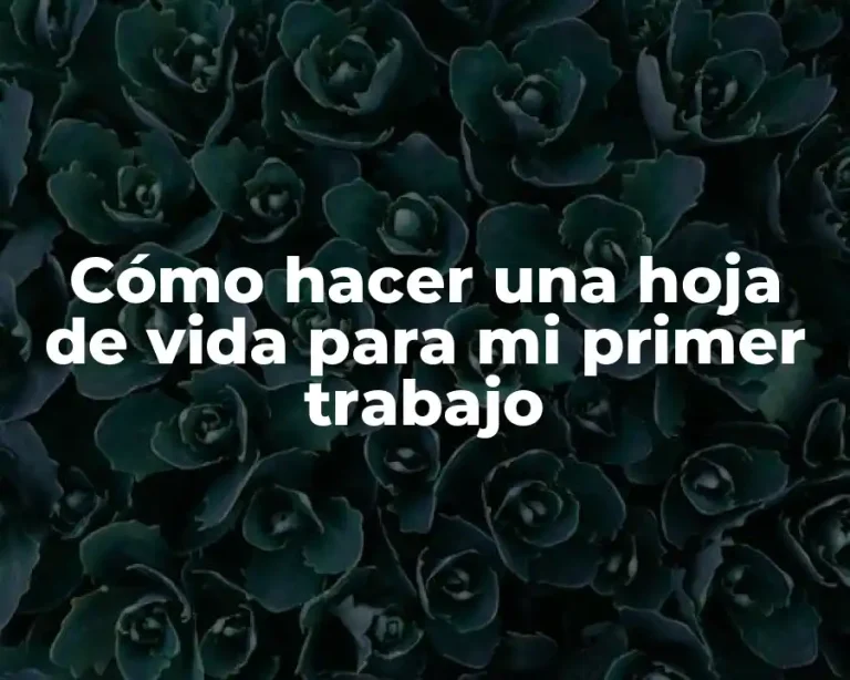 Cómo hacer una hoja de vida para mi primer trabajo