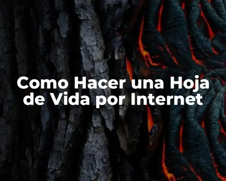 Como Hacer una Hoja de Vida por Internet