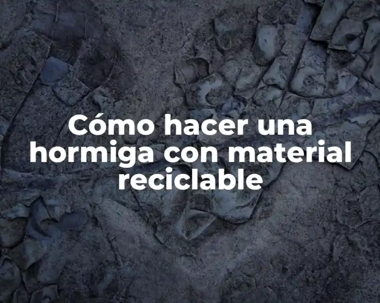 Cómo hacer una hormiga con material reciclable