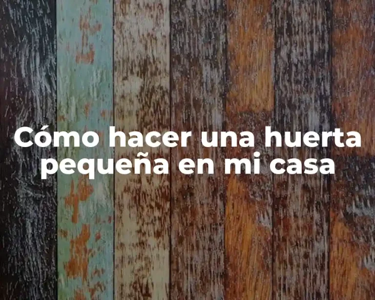 Cómo hacer una huerta pequeña en mi casa