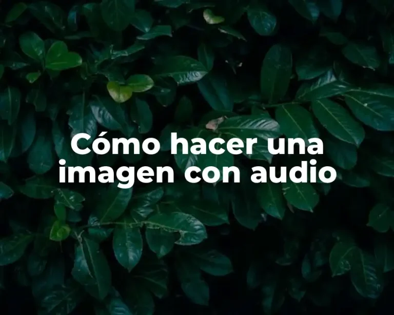 Cómo hacer una imagen con audio