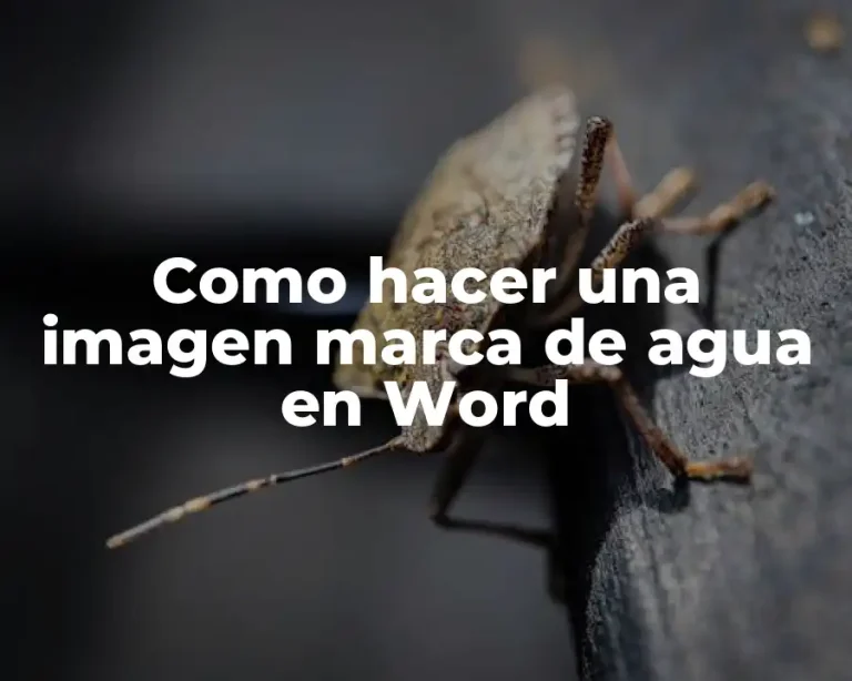 Como hacer una imagen marca de agua en Word