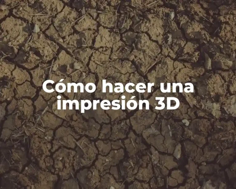 Cómo hacer una impresión 3D