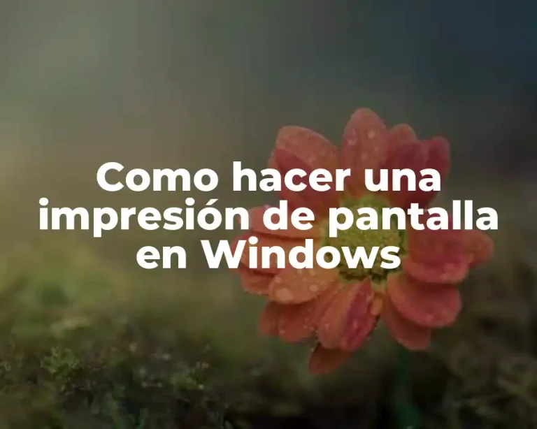 Como hacer una impresión de pantalla en Windows