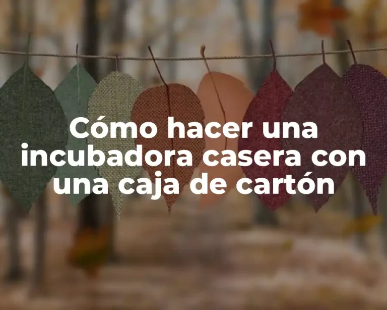 Cómo hacer una incubadora casera con una caja de cartón