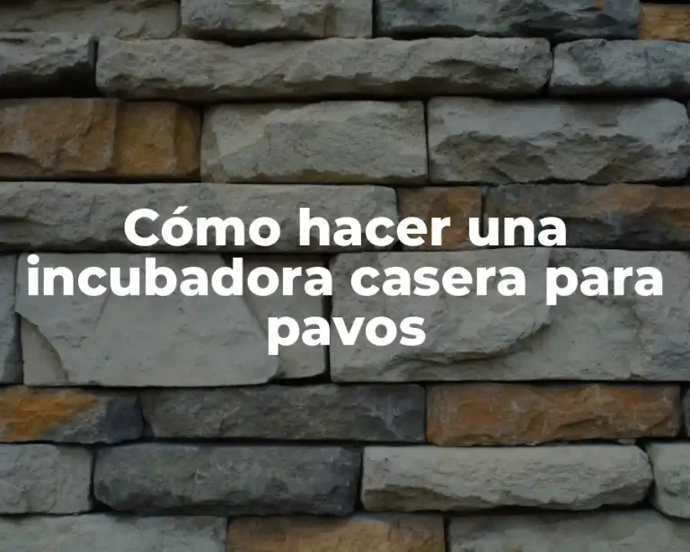 Cómo hacer una incubadora casera para pavos