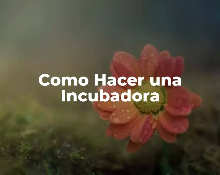 Como Hacer una Incubadora