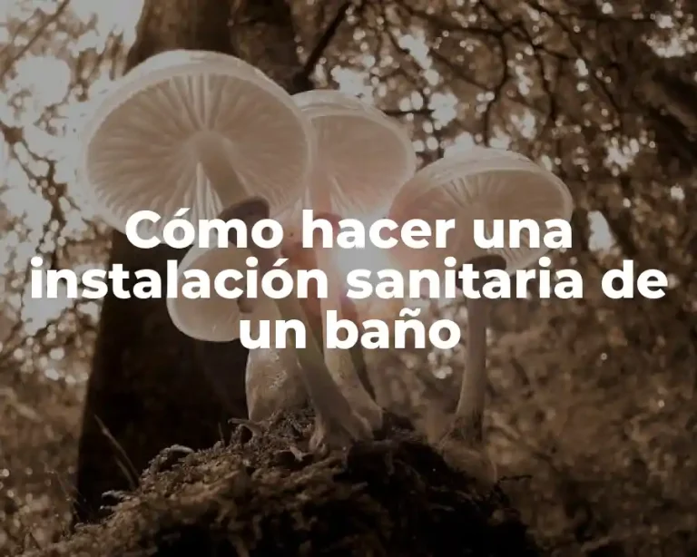Cómo hacer una instalación sanitaria de un baño