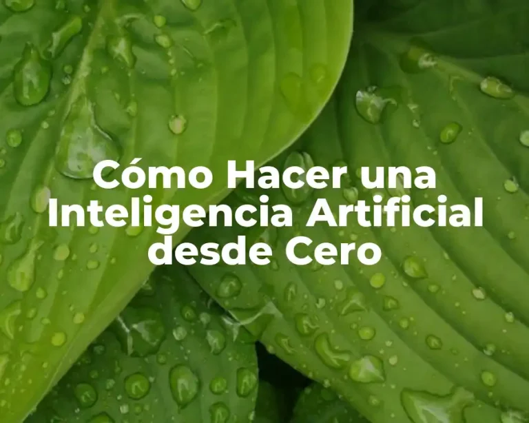 Cómo Hacer una Inteligencia Artificial desde Cero